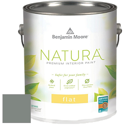 Benjamin Moore 512 Natura Interior Flat Finish матовая краска цвет NCS S 5005-G 