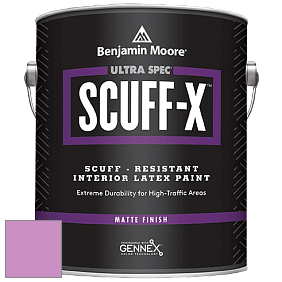 Benjamin Moore 484 Ultra Spec SCUFF-X Interior Matte Finish краска цвет NCS S 1050-R40B 