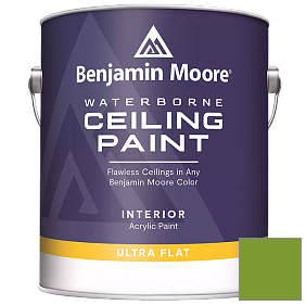Краска Waterborne Ceiling Paint (508) цвет 2029-20 Baby Fern