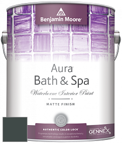 Benjamin Moore Aura 532 Bath & Spa Waterborne Interior Paint Matte Finish краска цвет 2050-10 Salamander