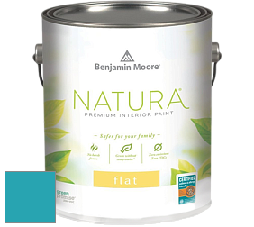 Benjamin Moore 512 Natura Interior Flat Finish матовая краска цвет NCS S 2050-B20G 