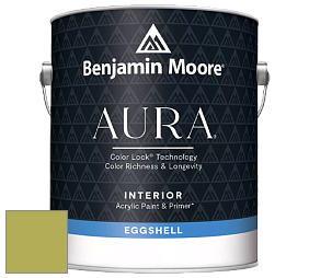Benjamin Moore Aura 524 Waterborne Interior Eggshell Finish краска цвет NCS S 2050-G60Y 