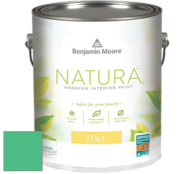 Benjamin Moore 512 Natura Interior Flat Finish матовая краска цвет NCS S 1060-G 