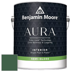 Benjamin Moore Aura 528 Waterborne Interior Semi-gloss Finish краска цвет NCS S 6030-G10Y 
