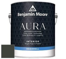 Benjamin Moore Aura 524 Waterborne Interior Eggshell Finish краска цвет RAL 6006 