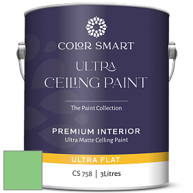 COLOR SMART CS 758 ULTRA CEILING PAINT ультраматовая краска цвет 2033-40 Lime Tart