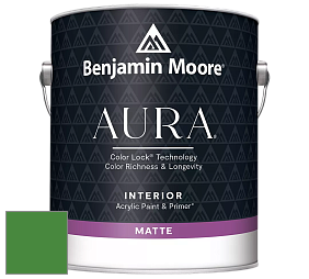 Benjamin Moore Aura 522 Interior Paint - Matte краска цвет NCS S 2570-G20Y 