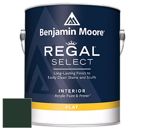 Benjamin Moore 547 Regal Select Waterborne Interior Flat Finish краска цвет RAL 6009 
