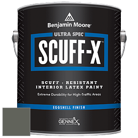 Benjamin Moore 485 Ultra Spec SCUFF-X Interior Eggshell Finish краска цвет NCS S 7005-G50Y 