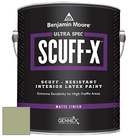 Benjamin Moore 484 Ultra Spec SCUFF-X Interior Matte Finish краска цвет NCS S 3020-G50Y 