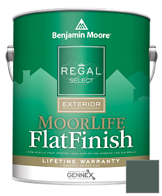 Краска Regal Select Exterior Paint-MoorLife Flat Finish (W105) цвет HC-134 BM HC-134