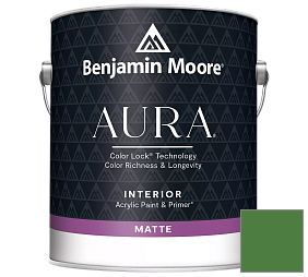 Краска Benjamin Moore Aura Interior Paint - Matte (522) цвет 2034-20 Vine Green