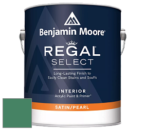 Benjamin Moore 550 Regal Select Waterborne Interior Pearl Finish краска цвет NCS S 4040-G 