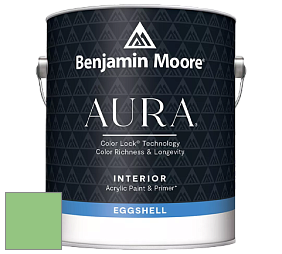 Benjamin Moore Aura 524 Waterborne Interior Eggshell Finish краска цвет NCS S 1050-G20Y 