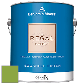 Benjamin Moore 549 Regal Select Waterborne Interior Eggshell Finish краска цвет 2029-30 Rosemary Green