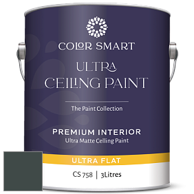 COLOR SMART CS 758 ULTRA CEILING PAINT ультраматовая краска цвет 2050-10 Salamander