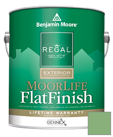Краска Regal Select Exterior Paint-MoorLife Flat Finish (W105) цвет 2034-40 Cedar Green