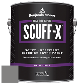 Benjamin Moore 484 Ultra Spec SCUFF-X Interior Matte Finish краска цвет NCS S 5500-N 