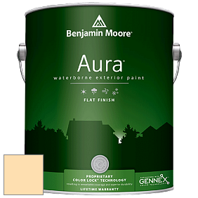 Benjamin Moore Aura 629 Waterborne Exterior Flat Finish краска цвет 304 Shooting Star