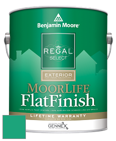 Benjamin Moore W105 Regal Select Exterior Paint-MoorLife Flat Finish краска цвет 2045-30 Green Leaf