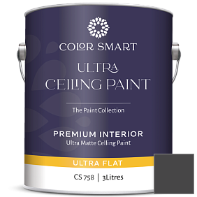 Краска COLOR SMART CS 758 ULTRA CEILING PAINT ультраматовая краска цвет 2118-10 Universal Black