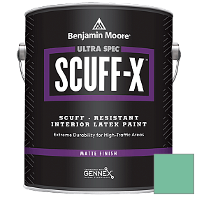 Краска Ultra Spec SCUFF-X Interior Matte Finish (484) цвет 592 Rosamilia Green