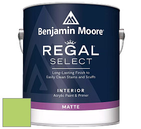 Benjamin Moore 548 IRegal Select Interior Paint - Matte краска цвет 2031-40 Spring Meadow Green