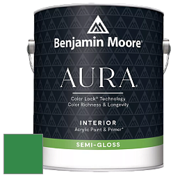 Benjamin Moore Aura 528 Waterborne Interior Semi-gloss Finish краска цвет 2037-20 Jade Green