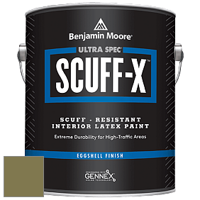Benjamin Moore 485 Ultra Spec SCUFF-X Interior Eggshell Finish краска цвет NCS S 5030-G70Y 