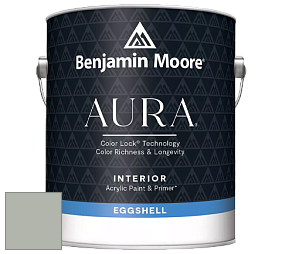 Benjamin Moore Aura 524 Waterborne Interior Eggshell Finish краска цвет 2138-50 Misted Green