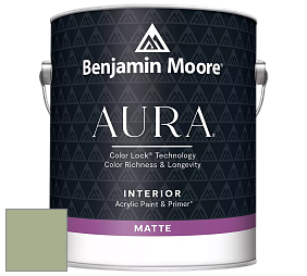 Benjamin Moore Aura 522 Interior Paint - Matte краска цвет AF-450 