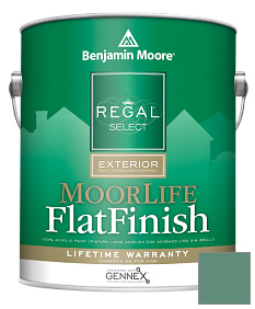 Краска Regal Select Exterior Paint-MoorLife Flat Finish (W105) цвет 642 Palm Trees