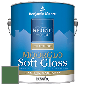 Benjamin Moore W096 Regal Select Exterior Paint-Moor GloSoft Gloss Finish краска цвет 2036-10 Cat's Eye