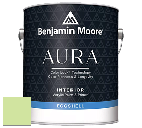 Benjamin Moore Aura 524 Waterborne Interior Eggshell Finish краска цвет 2031-50 Key Lime