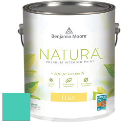 Benjamin Moore 512 Natura Interior Flat Finish матовая краска цвет NCS S 1050-B70G 