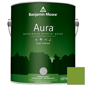 Краска Aura Waterborne Exterior Flat Finish (629) цвет 2029-20 Baby Fern