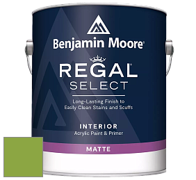 Benjamin Moore 548 IRegal Select Interior Paint - Matte краска цвет 2029-30 Rosemary Green