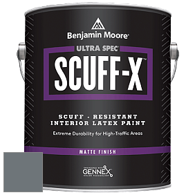 Benjamin Moore 484 Ultra Spec SCUFF-X Interior Matte Finish краска цвет NCS S 6005-B 