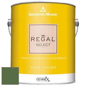 Benjamin Moore 547 Regal Select Waterborne Interior Flat Finish краска цвет NCS S 5040-G30Y 