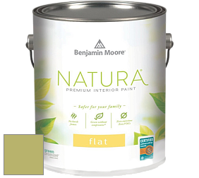 Benjamin Moore 512 Natura Interior Flat Finish матовая краска цвет NCS S 2040-G60Y 
