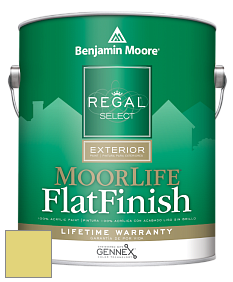 Benjamin Moore W105 Regal Select Exterior Paint-MoorLife Flat Finish краска цвет 396 Chic Lime
