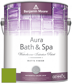 Benjamin Moore Aura 532 Bath & Spa Waterborne Interior Paint Matte Finish краска цвет 2028-10 Iguana Green