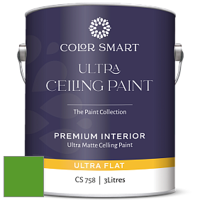 COLOR SMART CS 758 ULTRA CEILING PAINT ультраматовая краска цвет 2032-10 Neon Green