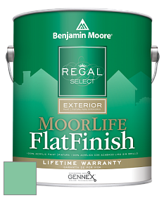 Benjamin Moore W105 Regal Select Exterior Paint-MoorLife Flat Finish краска цвет 579 Cliffside Park