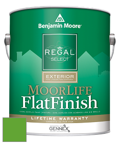 Benjamin Moore W105 Regal Select Exterior Paint-MoorLife Flat Finish краска цвет 2032-20 Traffic Light Green