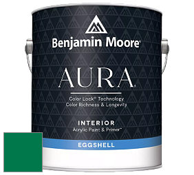 Benjamin Moore Aura 524 Waterborne Interior Eggshell Finish краска цвет NCS S 3560-G 