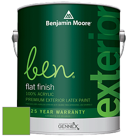 Benjamin Moore Ben 541 Waterborne Exterior Flat Finish краска цвет 2030-20 Tropical Seaweed Green
