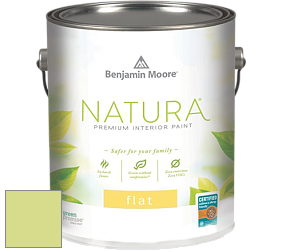 Benjamin Moore 512 Natura Interior Flat Finish матовая краска цвет NCS S 0540-G50Y 