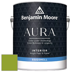 Benjamin Moore Aura 524 Waterborne Interior Eggshell Finish краска цвет 2028-20 Douglas Fir