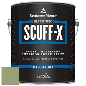 Benjamin Moore 485 Ultra Spec SCUFF-X Interior Eggshell Finish краска цвет NCS S 3030-G40Y 